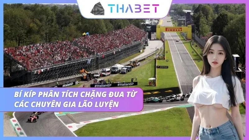Bí kíp vàng để lại từ các chuyên gia phân tích